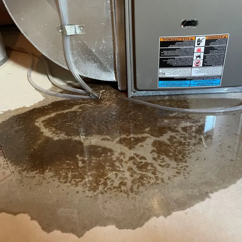 Pipe Burst and Leak Restoration in Bull Run Mountain Estates, VA
